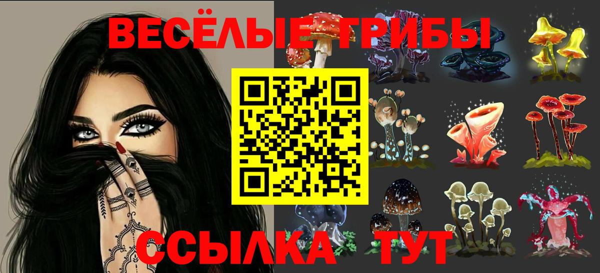 Галлюциногенные грибы Magic Shrooms  Вход с VPN  Бузулук 