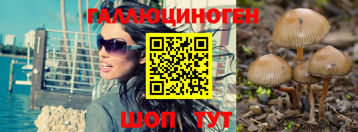 Галлюциногенные грибы мицелий Бузулук